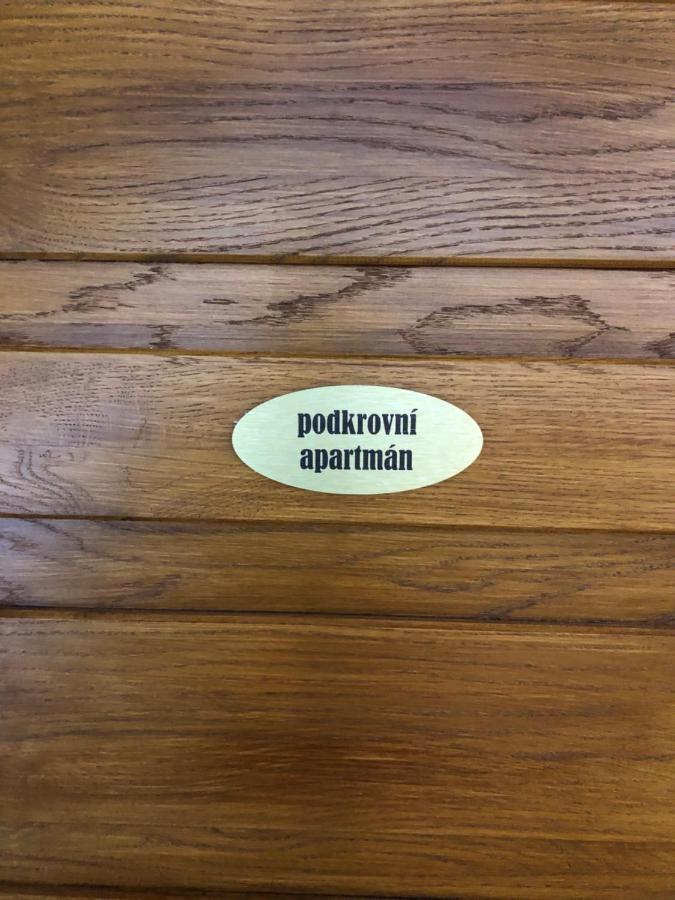Apartmany U Vleku - Podkrovni Apartman Karlova Studánka Exterior foto