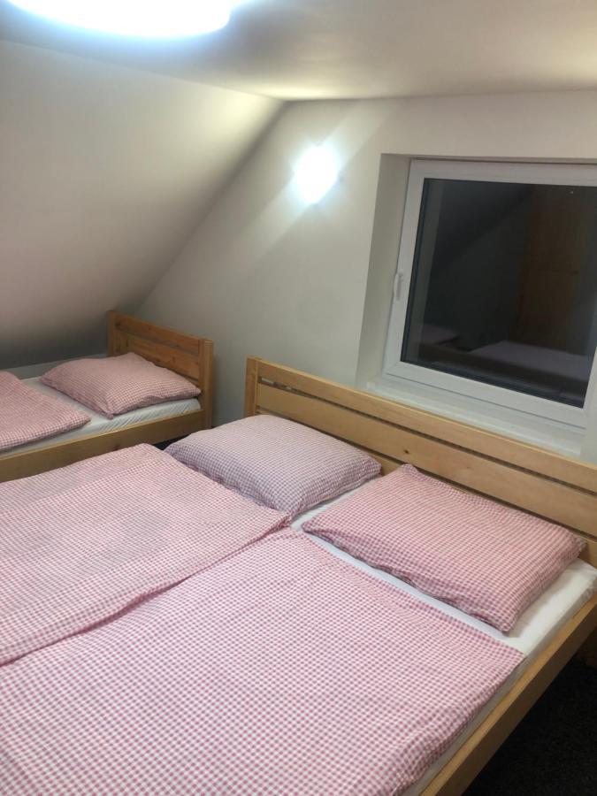Apartmany U Vleku - Podkrovni Apartman Karlova Studánka Exterior foto